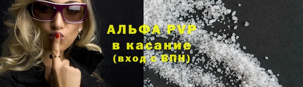 молекула духа Богородицк