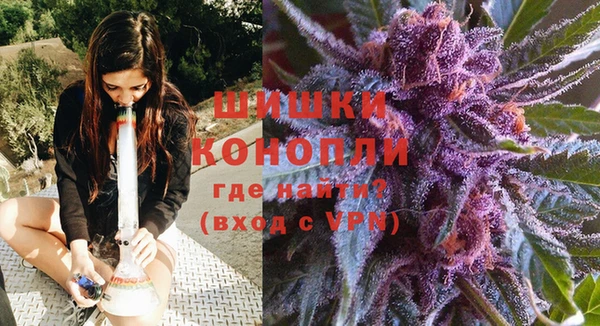 молекула духа Богородицк