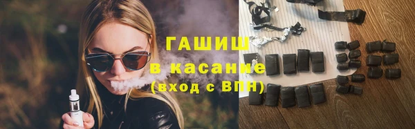 молекула духа Богородицк