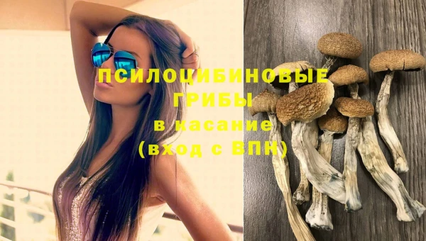 молекула духа Богородицк