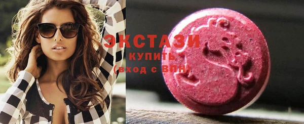 молекула духа Богородицк