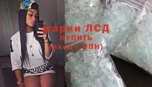 молекула духа Богородицк