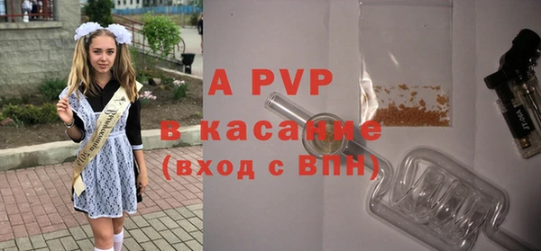 молекула духа Богородицк