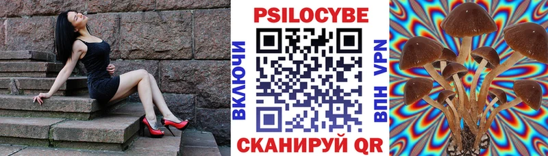 нарко площадка официальный сайт  Киселёвск  Псилоцибиновые грибы Psilocybe 